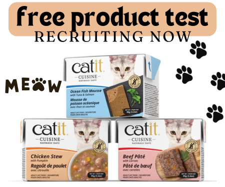 How to Get Catit Cuisine for Free: A Simple Guide