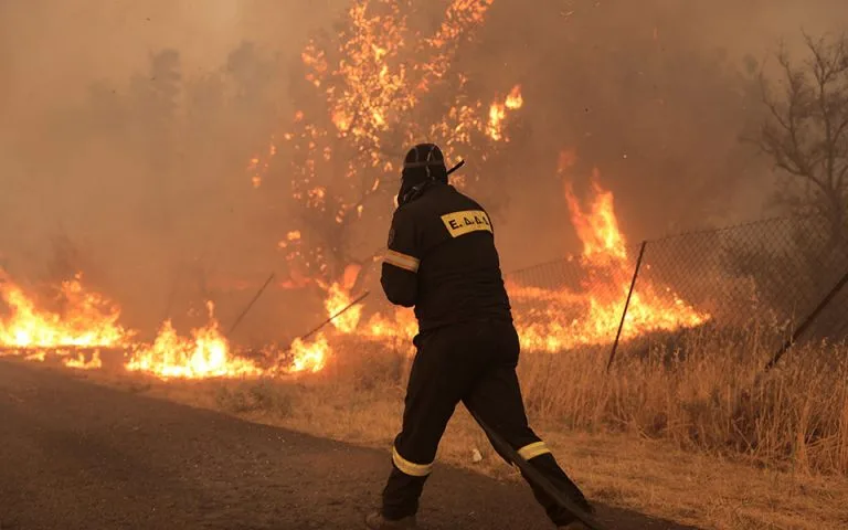 fire9 2 768x480 1