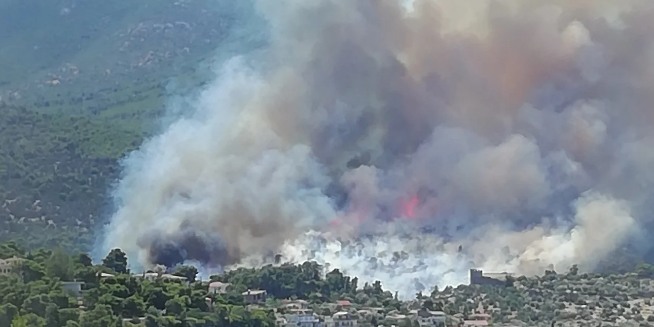 fotia ena.jpg