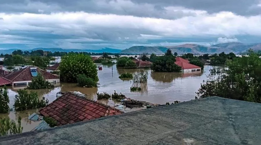 karditsa 0190129021912 1.jpg