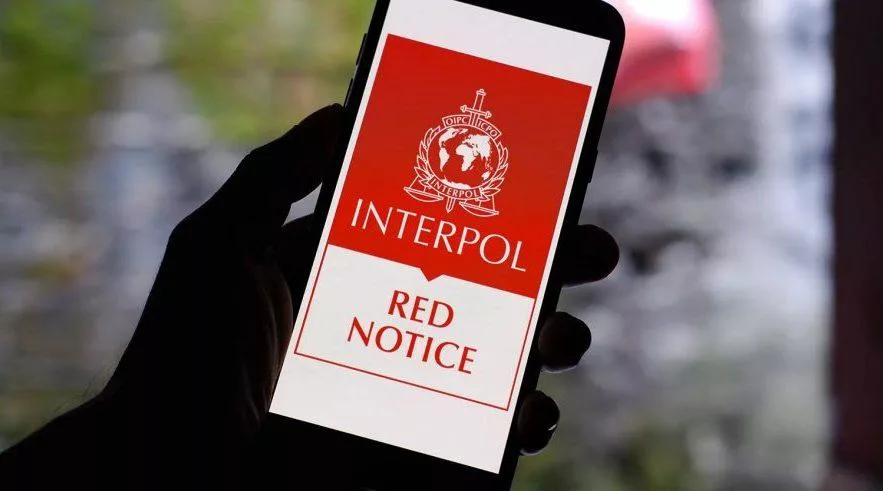 interpol-e1703942831582-1.jpg