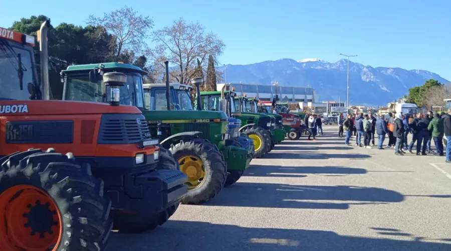 agrotes trakter lamia 01111.jpg