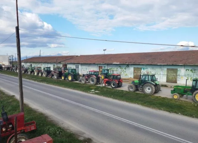 agrotes 2 e1707556203650.jpg