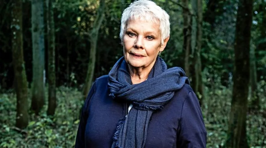 judi dench 1122121111.jpg