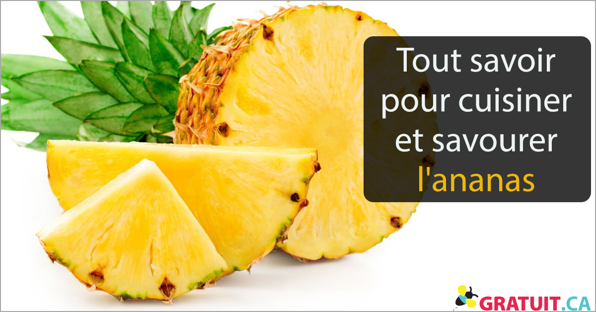 L'ananas : bienfaits santé, idées recettes, conseils de préparation -  Doctissimo