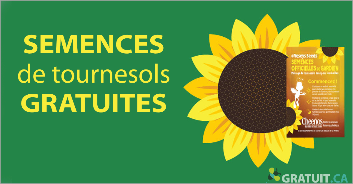 https://storage.googleapis.com/freebies-com/resources/news/25135/gratuites-semences-pour-tournesols-.jpg