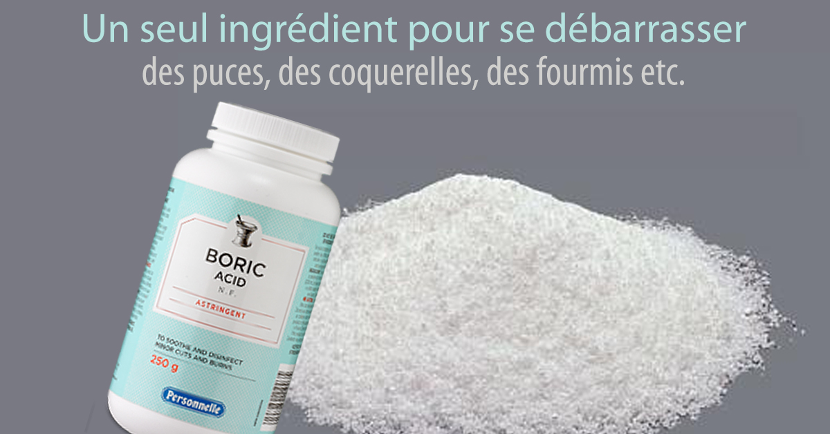  Acide Borique Poudre