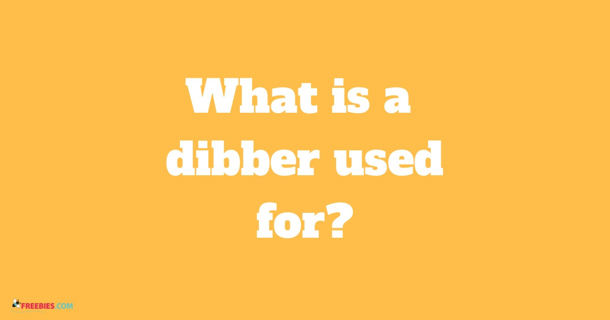 trivia-what-is-a-dibber-used-for-freebies-the-best-other-free