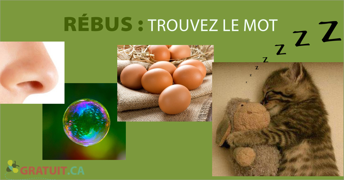 Quel Est Le Sens Du Mot Énigme : quel mot est représenté par ces images?