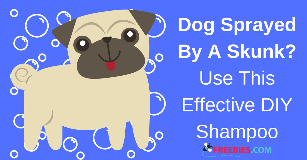 https://storage.googleapis.com/freebies-com/resources/shareables/232/compressed__dog-sprayed-by-skunk-use-this-easy-trick-.jpeg