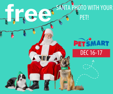 Free Santa Photo With Your Pet