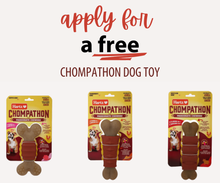 Apply for a Free Chompathon Dog Chew Toy