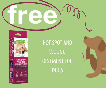 Free Hot Spot and Wound Ointment For Dogs