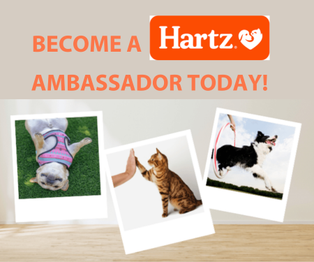 Apply to Become a Hartz Ambassador