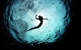 Imagine For A Moment… Freediving At Wakatobi - Freediving in United Arab Emirates. Courses, Certificates and Equipment