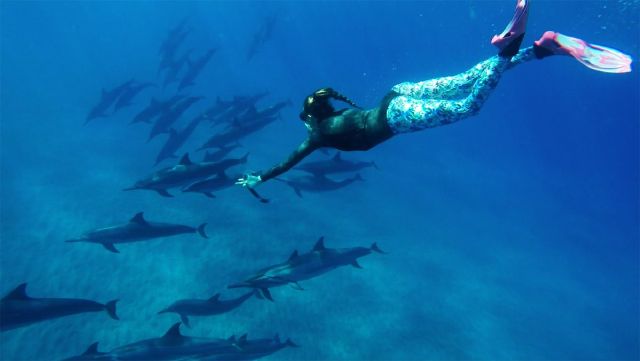 Freediving with Dolphins Off Hawaii on World Oceans Day - Freediving in United Arab Emirates. Courses, Certificates and Equipment