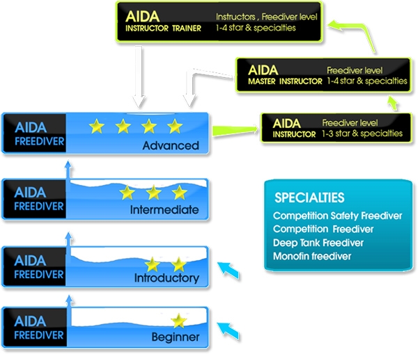 AIDA Learning ladder - Freediving UAE