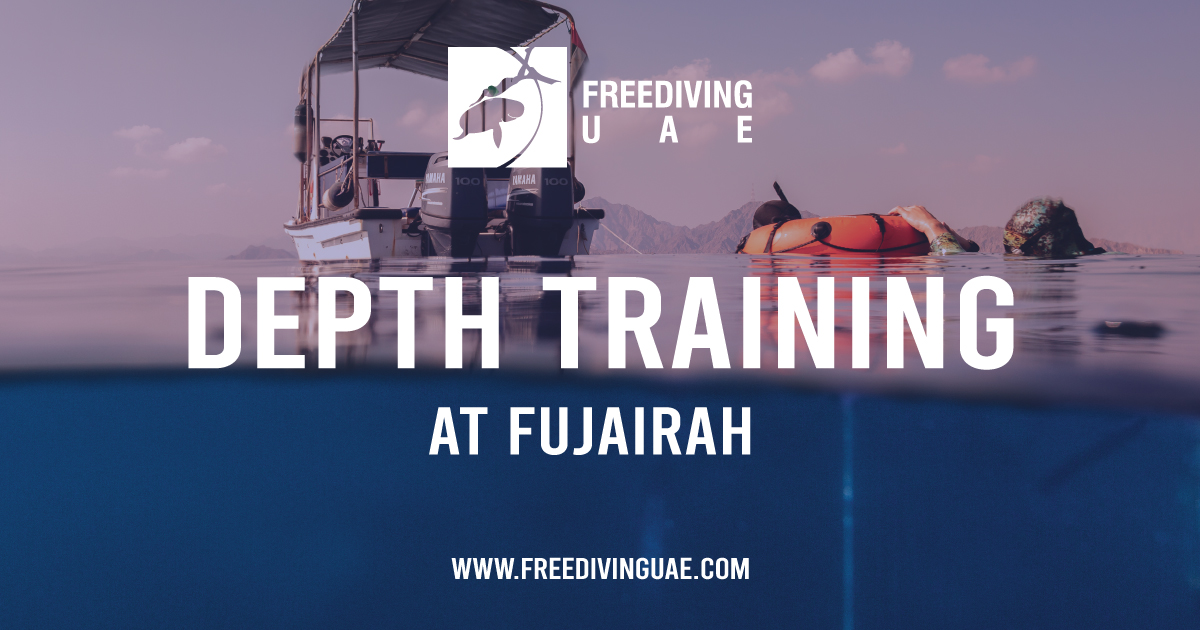 Depth Training Weekdays - Freediving in United Arab Emirates. Courses, Certificates and Equipment