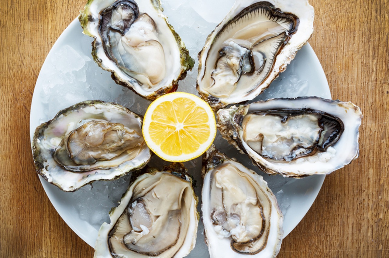 Dibba Bay Oysters — a unique oyster farm - Freediving in United Arab Emirates. Courses, Certificates and Equipment