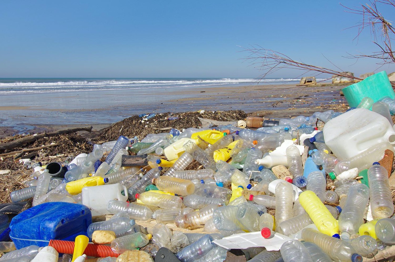 Plastic pollution — ways to solve the problem