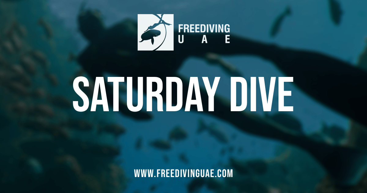 Saturday Dive - Freediving in United Arab Emirates. Courses, Certificates and Equipment