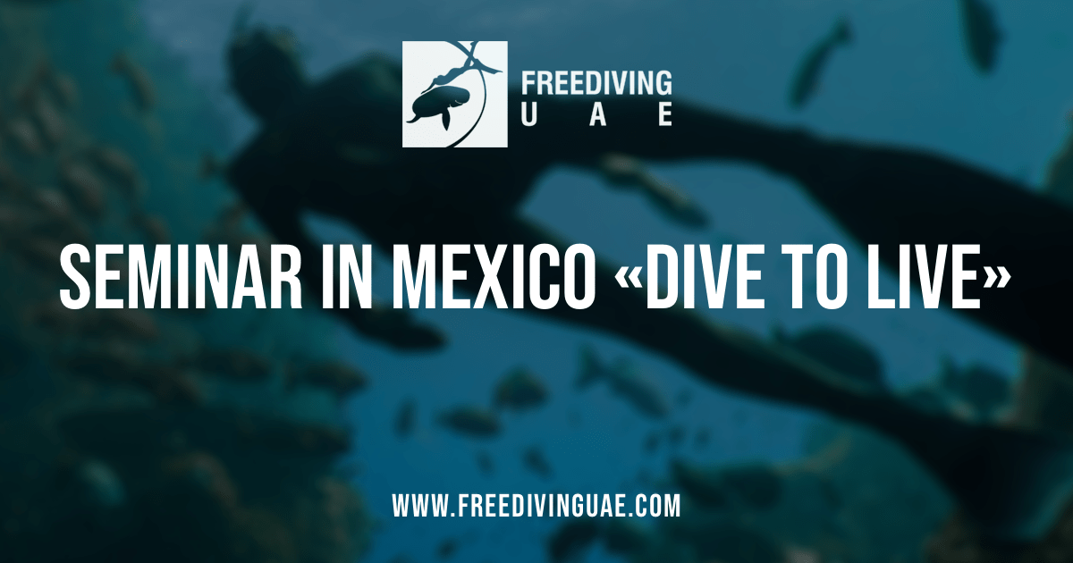 Seminar in Mexico «Dive to live» - Freediving in United Arab Emirates. Courses, Certificates and Equipment