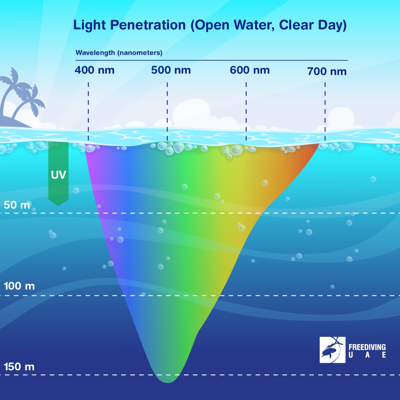 What Happens to Light at Depth? - Freediving in United Arab Emirates. Courses, Certificates and Equipment