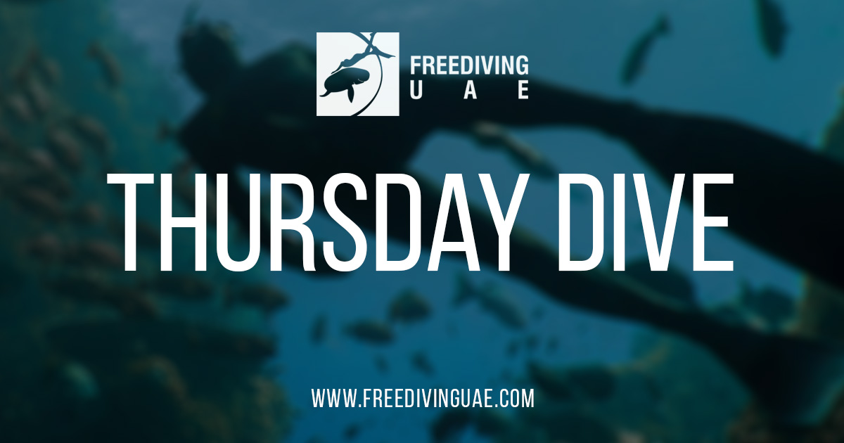 Thursday dive - Freediving in United Arab Emirates. Courses, Certificates and Equipment