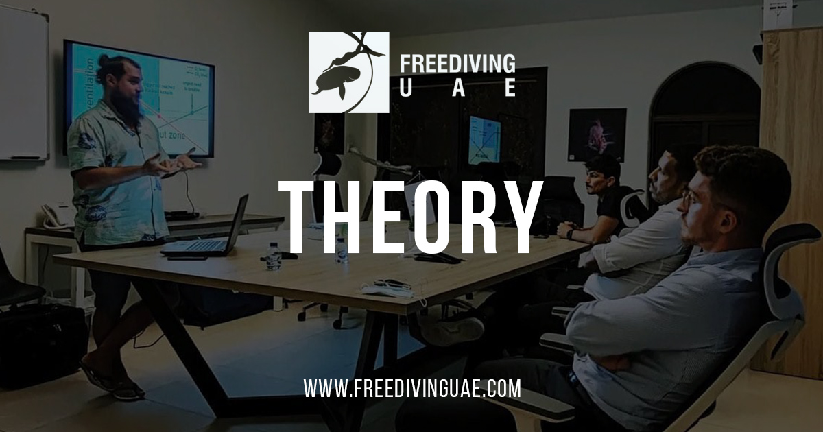 Saturday Theory - Freediving in United Arab Emirates. Courses, Certificates and Equipment