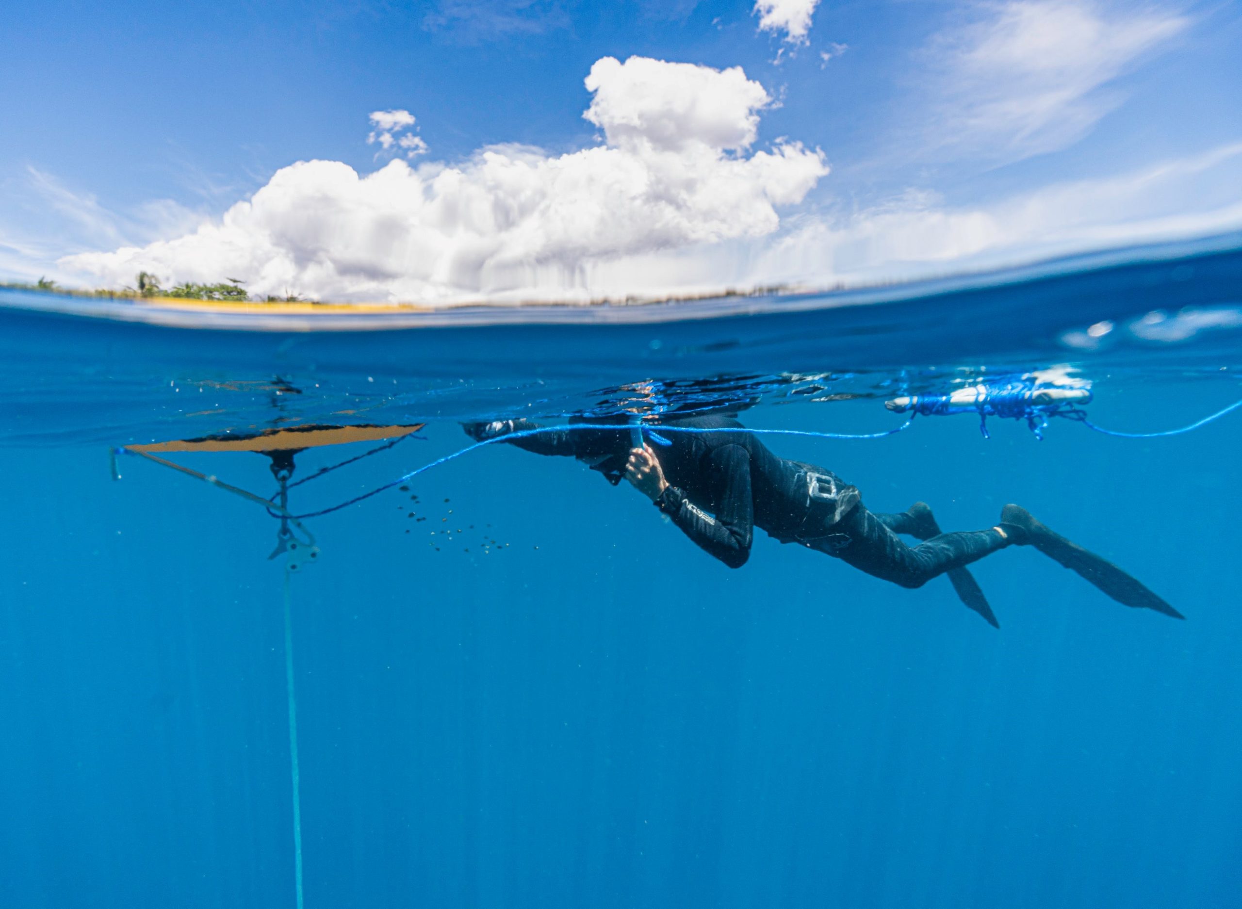 How long does it take to get good at freediving? - Freediving in United Arab Emirates. Courses, Certificates and Equipment