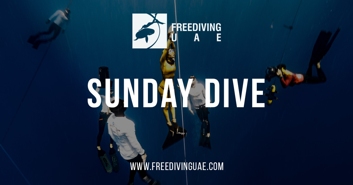 Sunday Dive - Freediving in United Arab Emirates. Courses, Certificates and Equipment