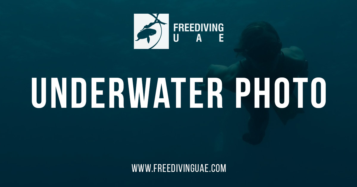 Underwater Photo in UAE