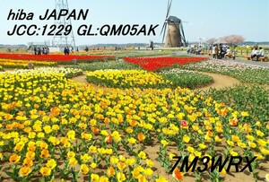 QSLカード画像