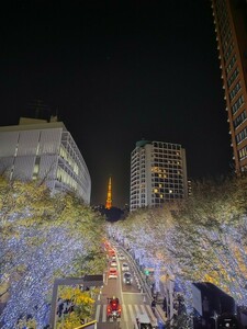 QSLカード画像