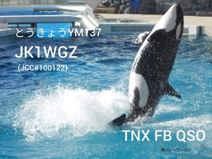 QSLカード画像