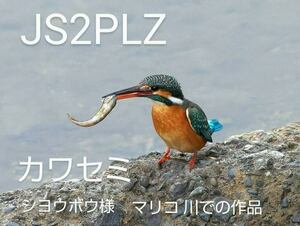 QSLカード画像
