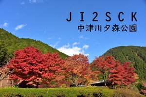 QSLカード画像