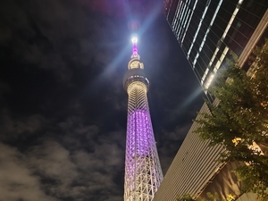 QSLカード画像