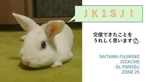 QSLカード画像