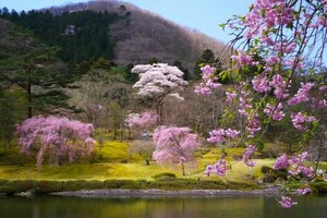 QSLカード画像