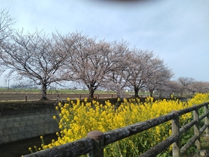 QSLカード画像