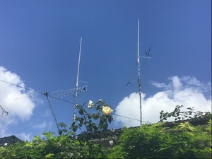 QSLカード画像