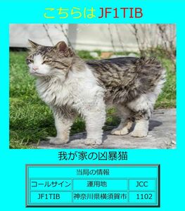 QSLカード画像