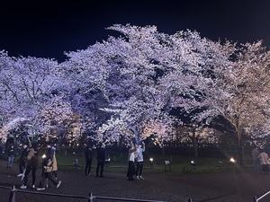 QSLカード画像