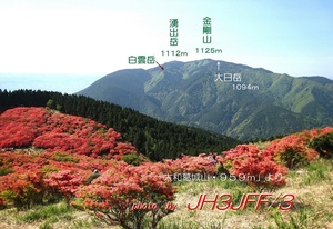QSLカード画像