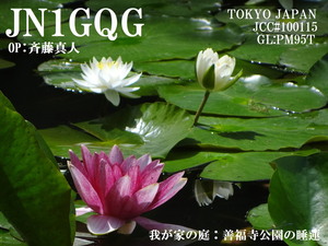 QSLカード画像