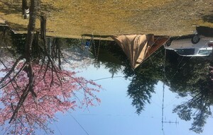 QSLカード画像