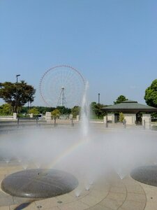 QSLカード画像