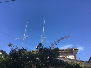 QSLカード画像