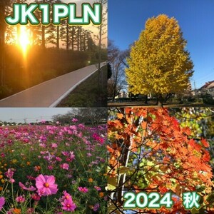 QSLカード画像